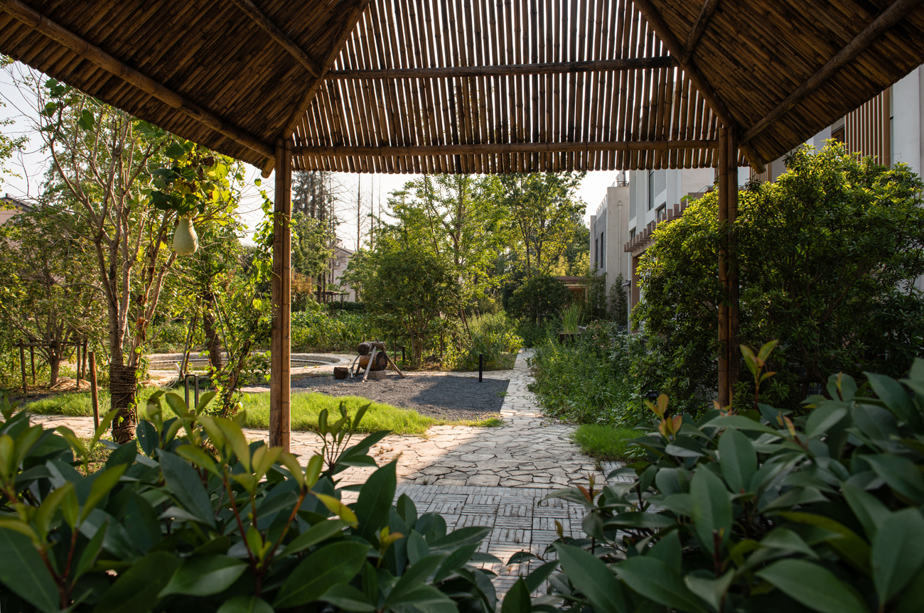 白相里·绿水人家-38