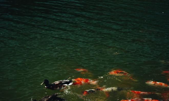 ANZONE 安哉美学度假社区丨中国北京丨妙觉创意设计工作室-106