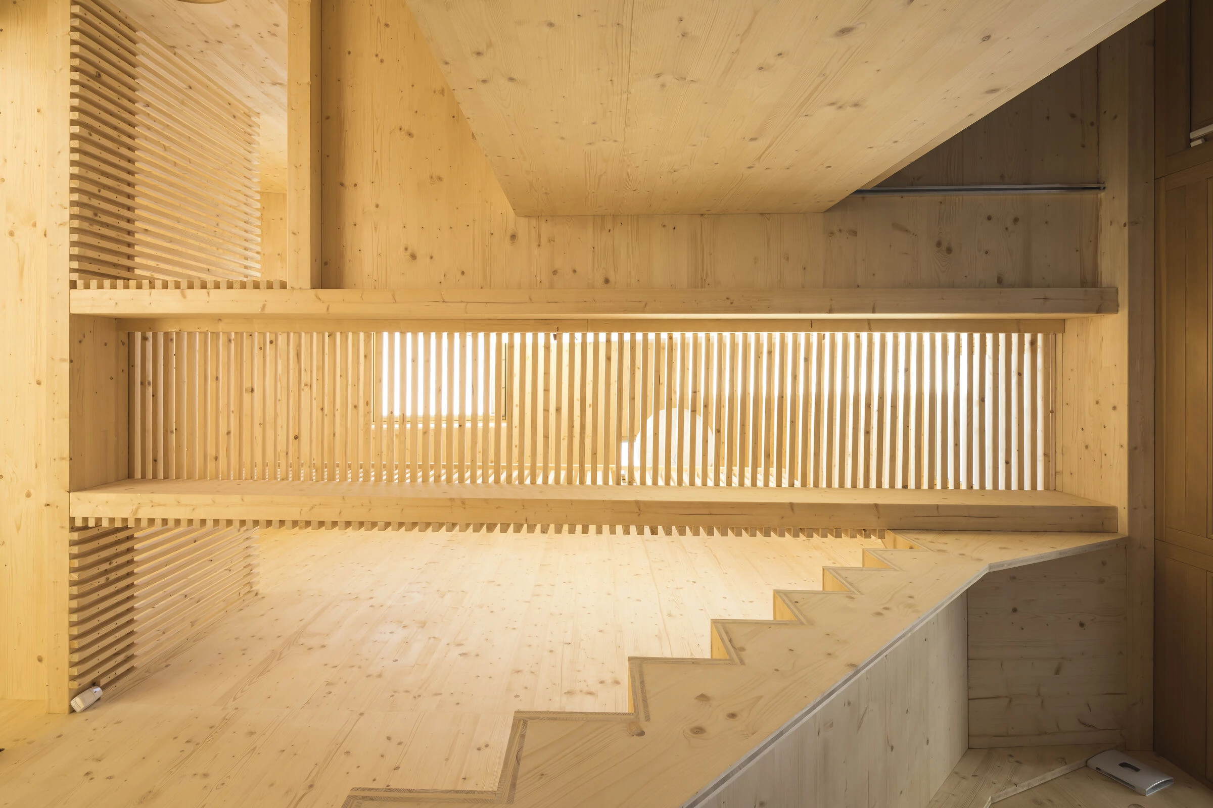 Gentilly 花园木质空中走廊住宅-16