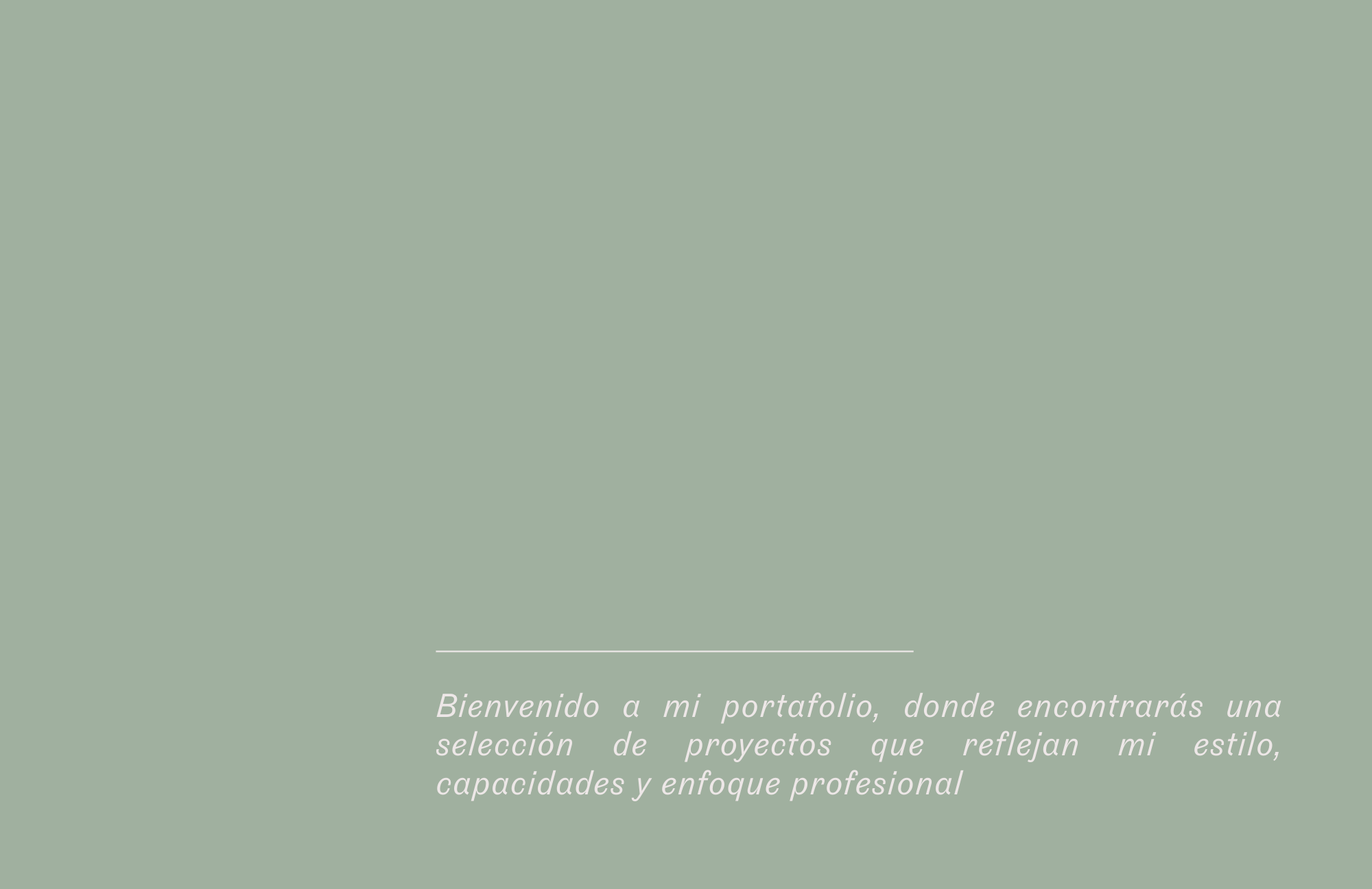 Portafolio de título-1