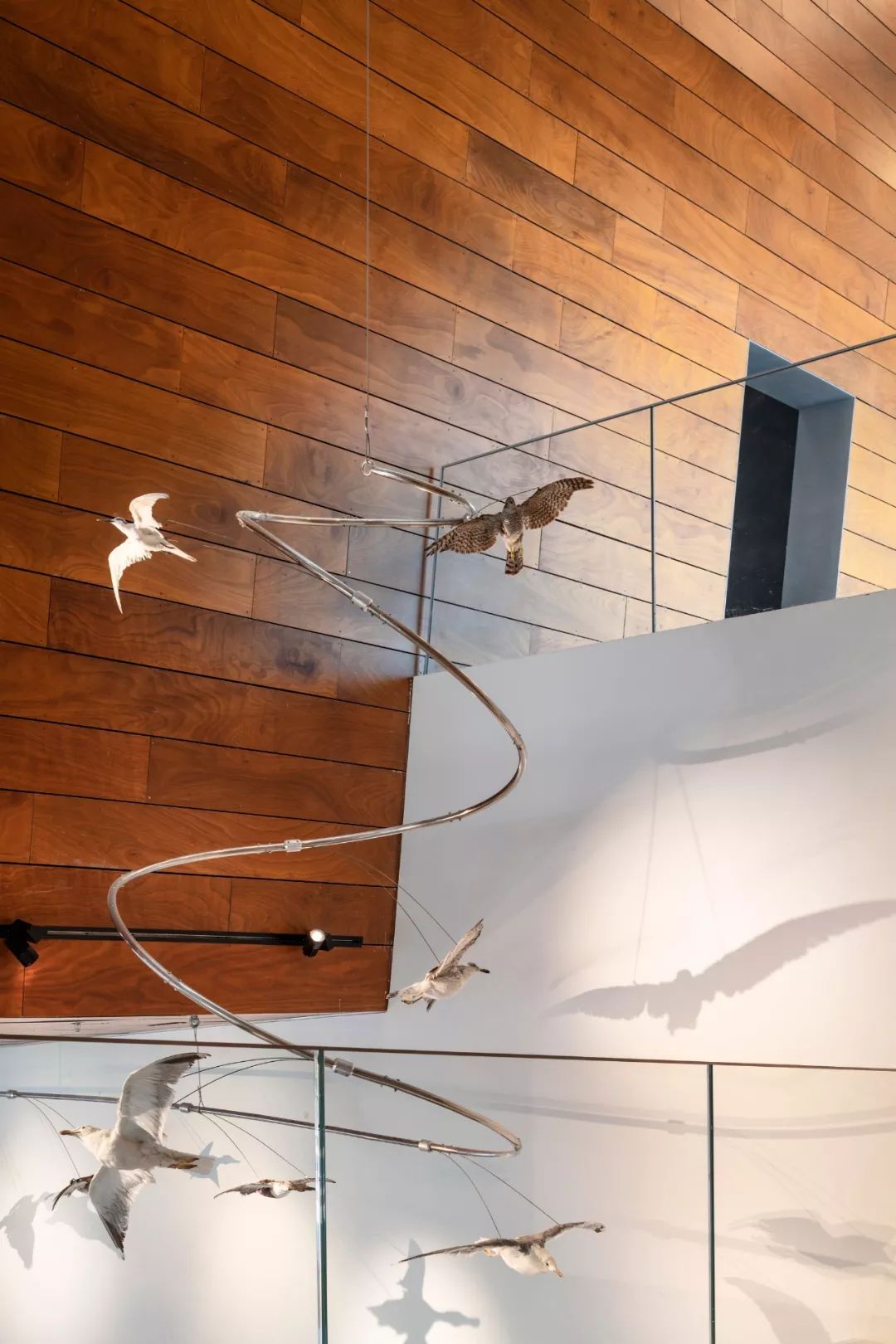 以色列建筑事务所 Kimmel Eshkolot 的杰出设计-46