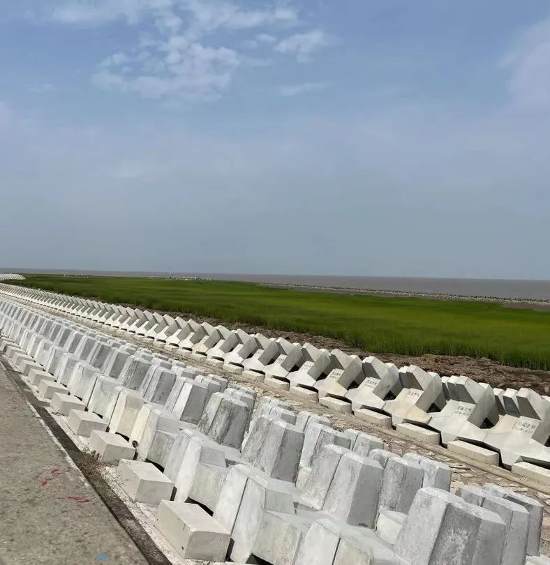 大芦线东延伸航道整治工程丨中国上海丨MYP迈柏-46