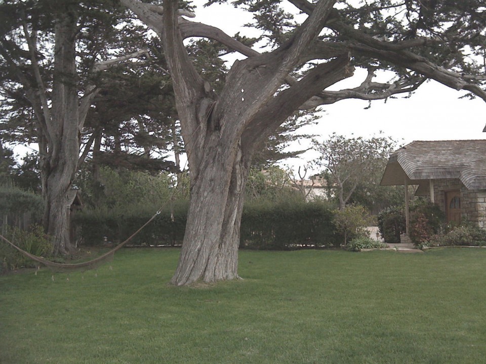 2016 ASLA 住宅设计类荣誉奖：拥有出色节水设计的诗意庭园 / Arterra Landscape Architects-7