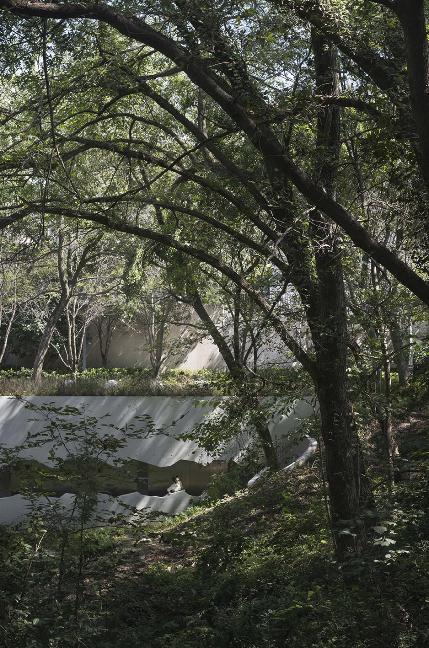 谷里的窗,树上的云,南京四方艺术湖区公共卫生间丨中国南京丨南京大学建筑规划设计研究院有限公司 物物建筑-179