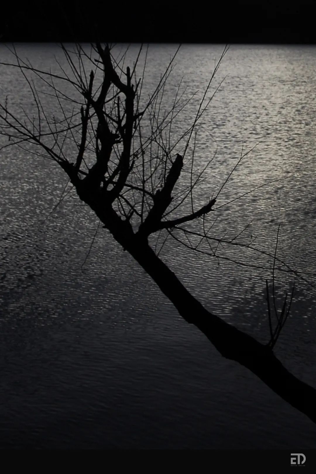 情绪风景丨戴勇-16