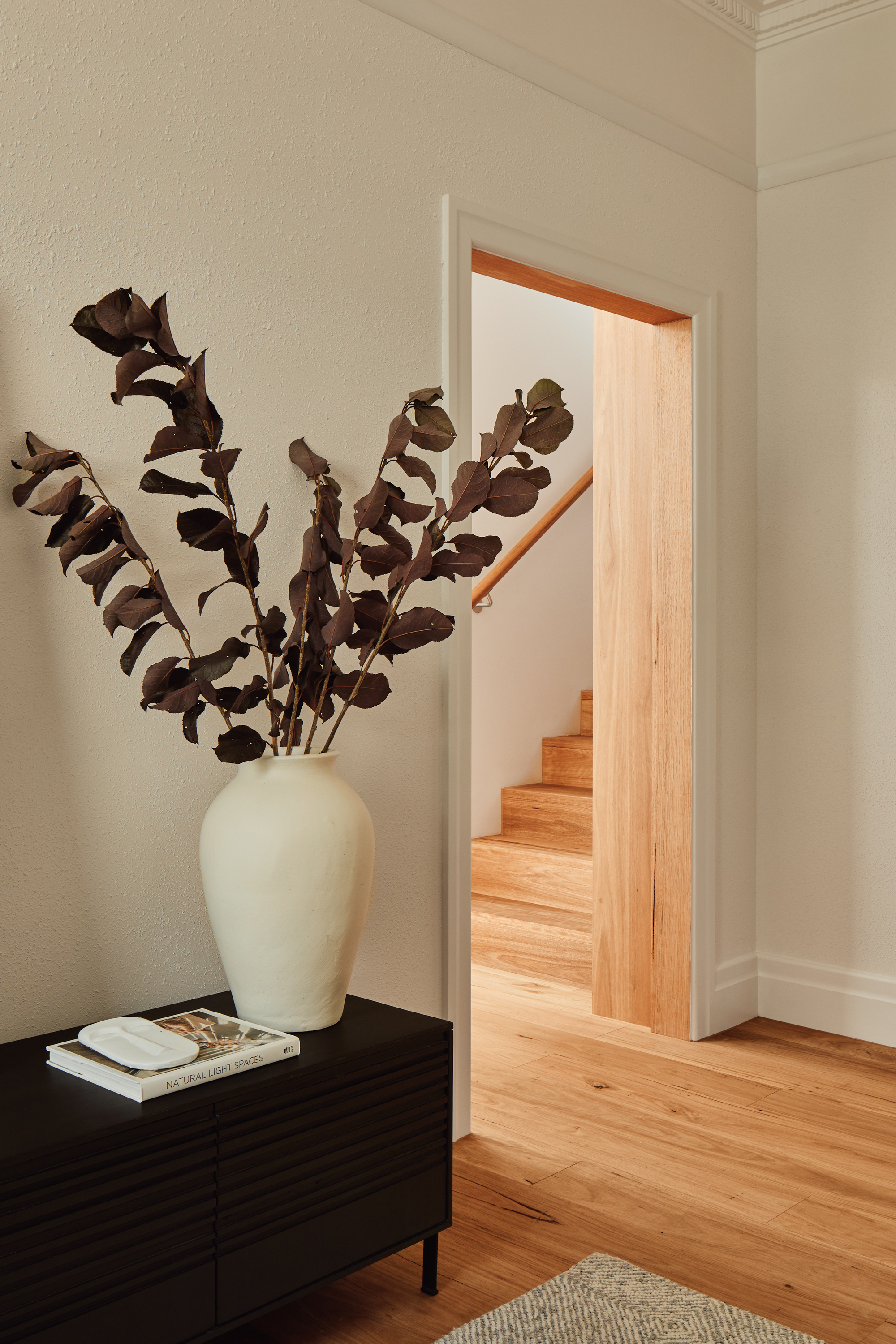 仙影拳屋（注：Cereus是仙影拳属植物，这里House可直译为屋，具体可能需结合实际语境理解，比如它可能是某个以仙影拳为主题或特色的建筑、场所等） 丨澳大利亚墨尔本丨Circle Studio Architects-38