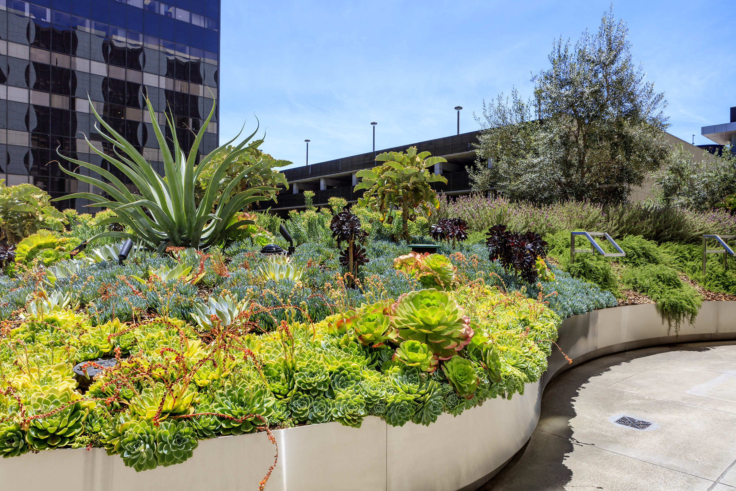 洛杉矶Cedars-Sinai医疗中心屋顶花园丨AHBE Landscape Architects-39