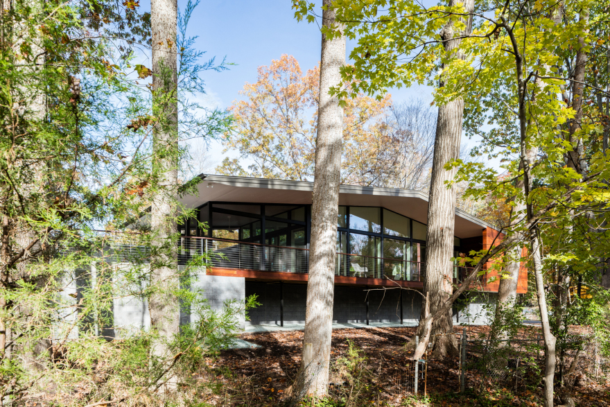 郊区森林中的私密玻璃住宅-28