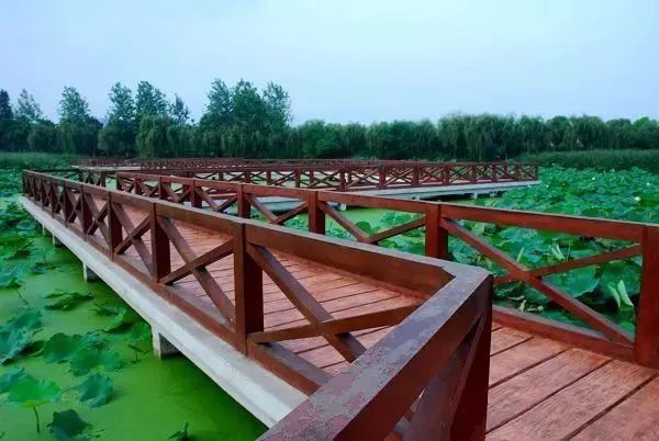 武汉园林景观盘点 | 美丽依旧,强势回归-25