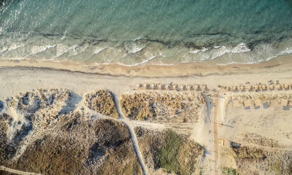 YAPA精品餐厅丨意大利米兰丨Lambs and Lions-233