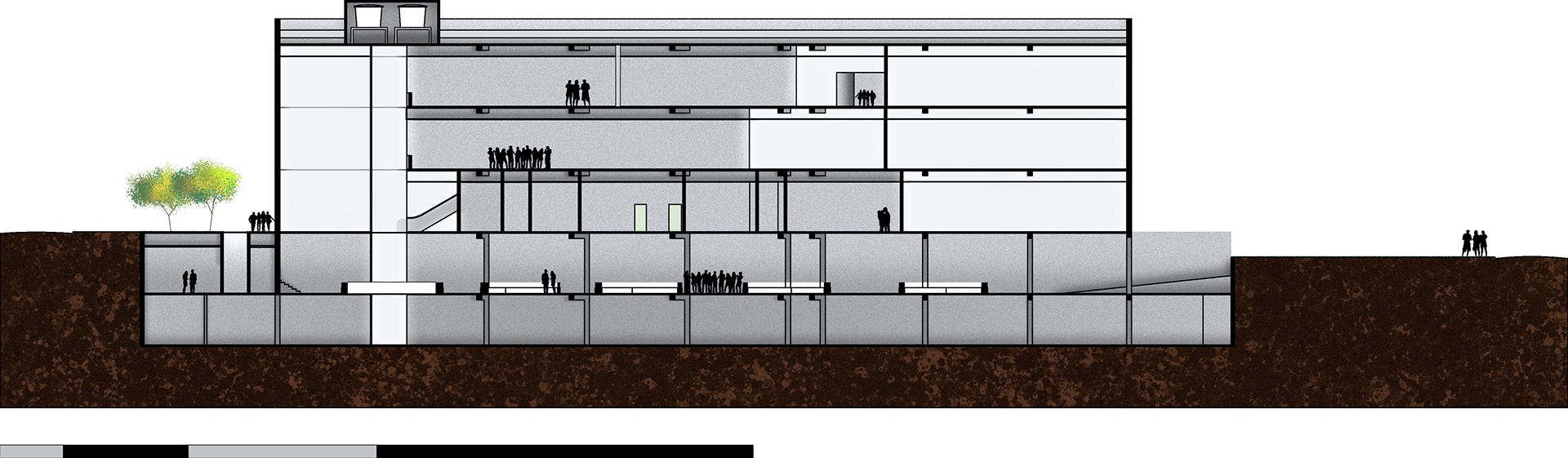 O vagalume clareia o espaço-4