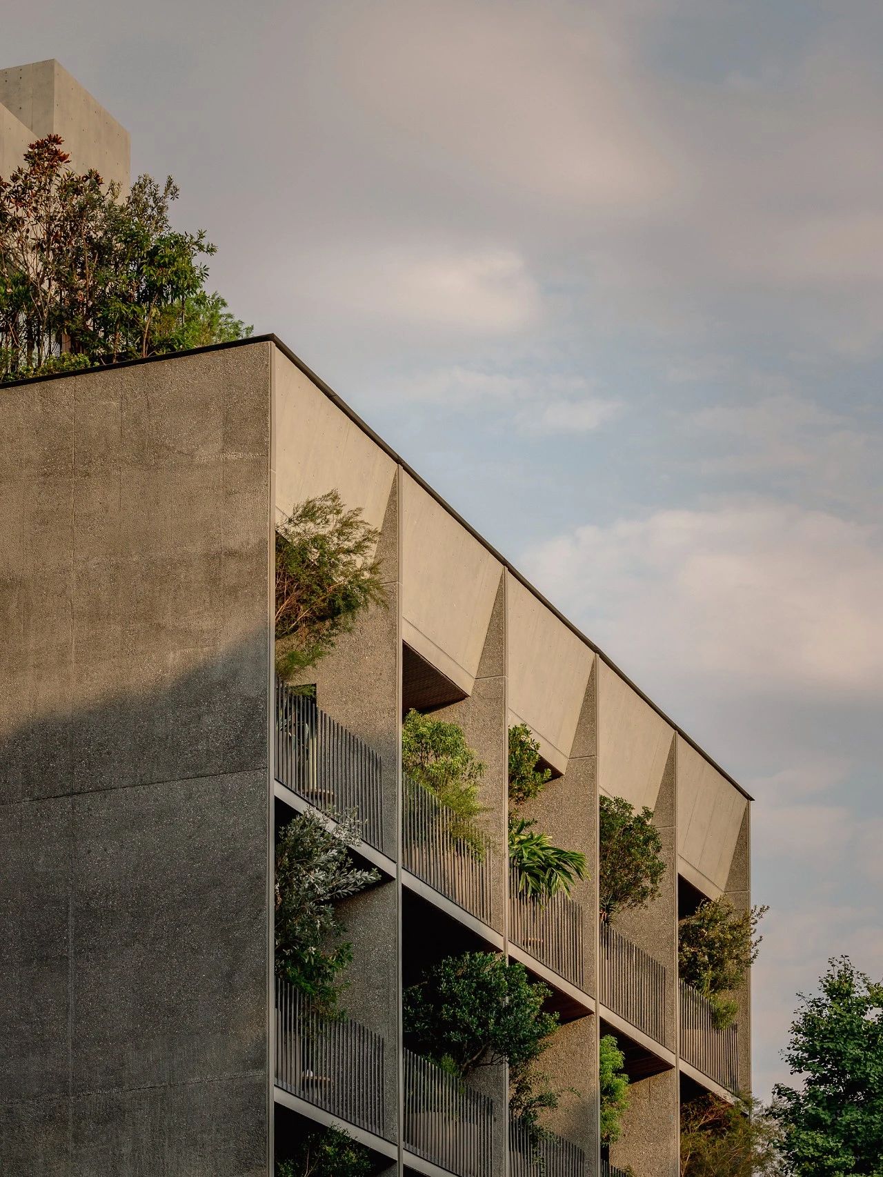 代代木公园树干酒店丨Keiji Ashizawa-4