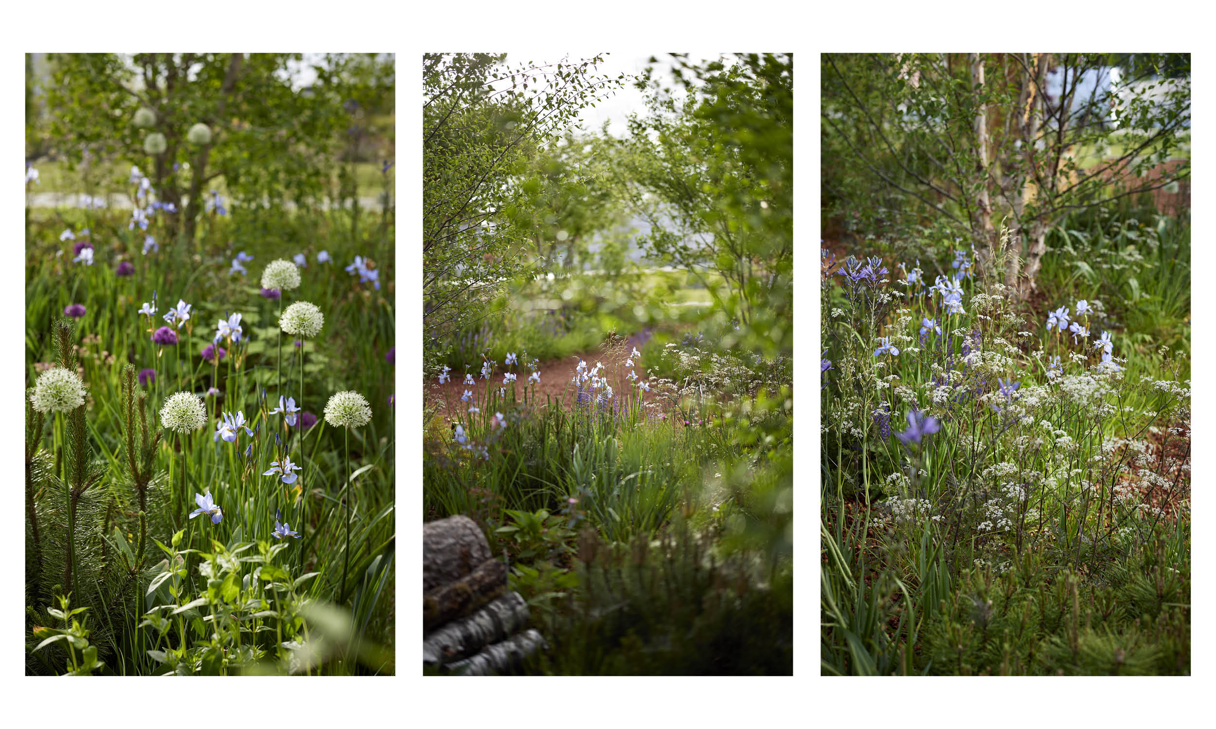 荷兰世园会  自然之境丨荷兰阿尔梅勒丨Stefano Marinaz景观公司（SMLA）-18