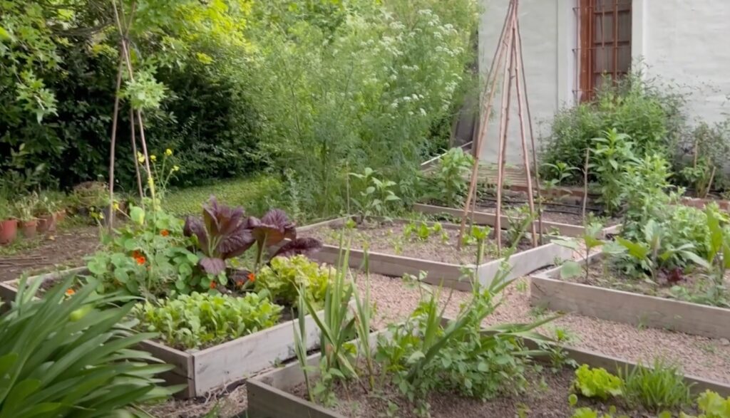 Jardinera Científica的花园（含菜园和鸟类喷泉）丨Dalila（Jardinera Científica）-19