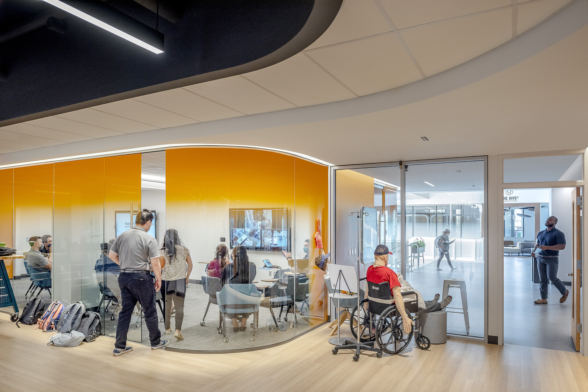 D’Youville College Health Professions Hub / CannonDesign	-29