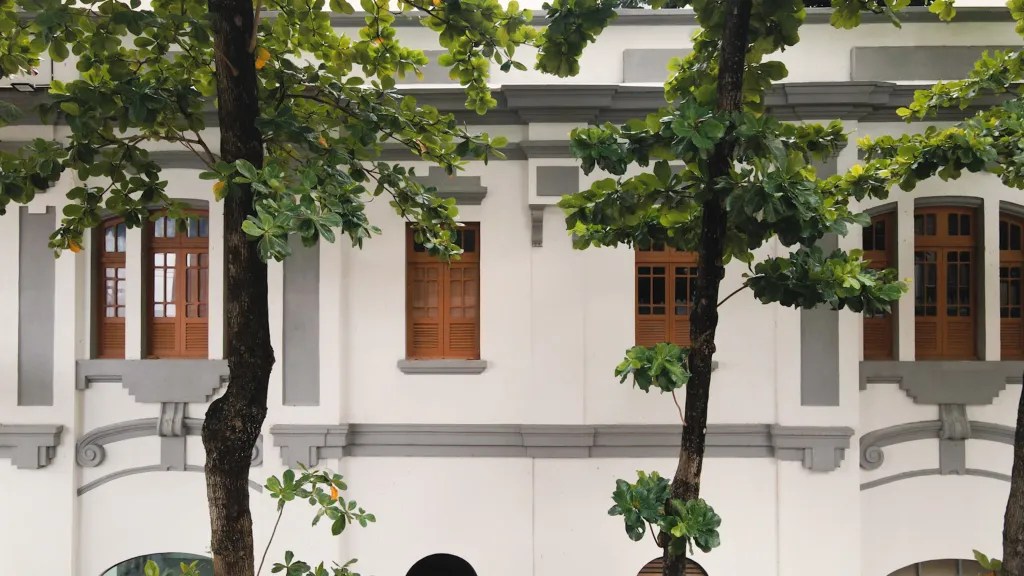 丨巴西伯南布哥-229