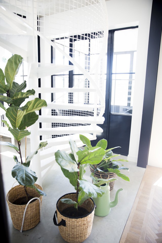 由旧工厂改造的家庭住宅丨荷兰-32