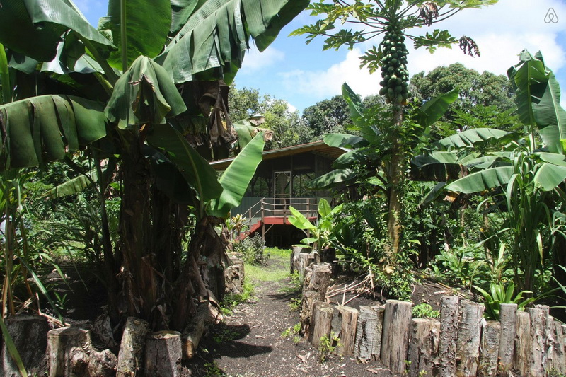 夏威夷木桩木屋丨美国夏威夷-10