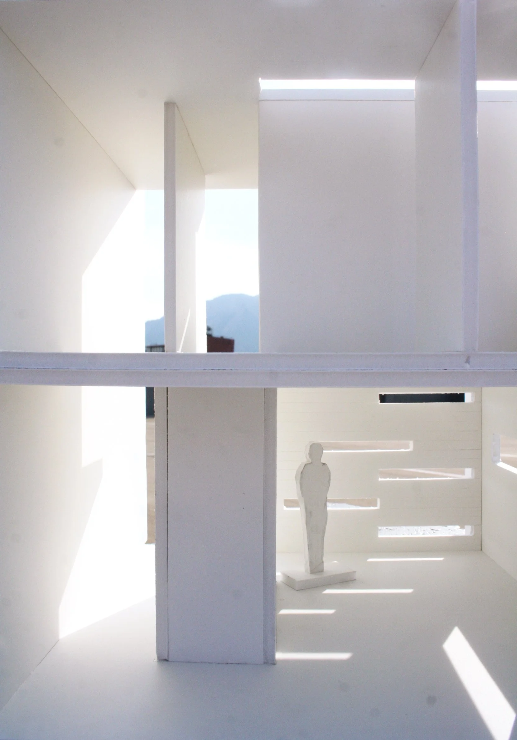 丨美国丹佛丨Tomecek Studio Architecture-8