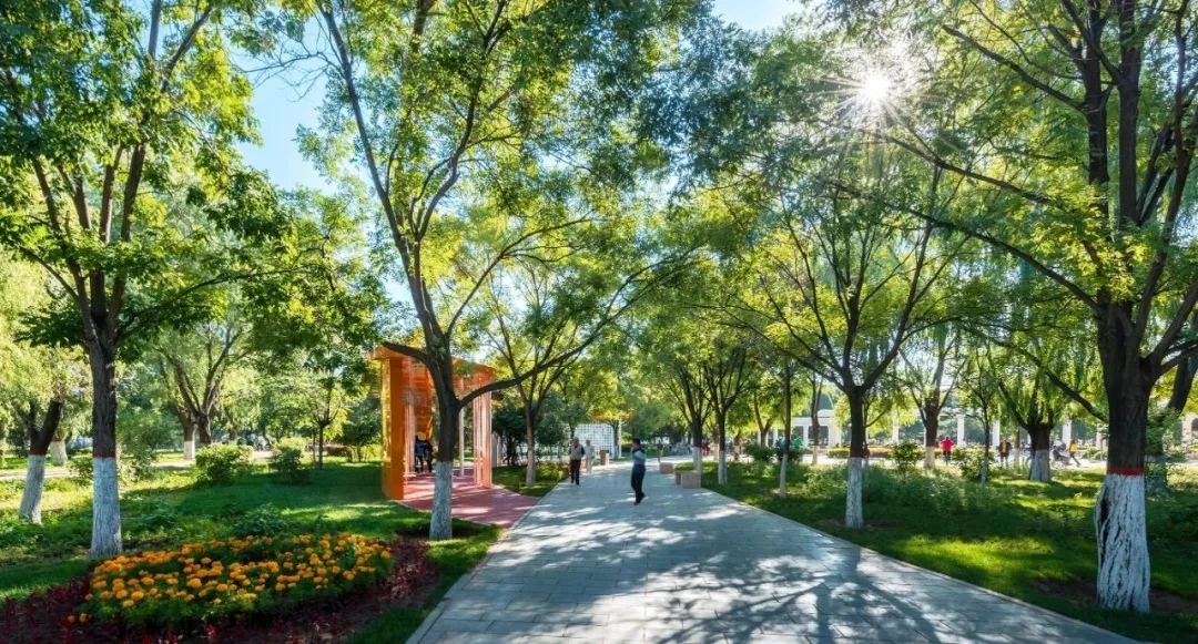 包头友谊广场改造-33