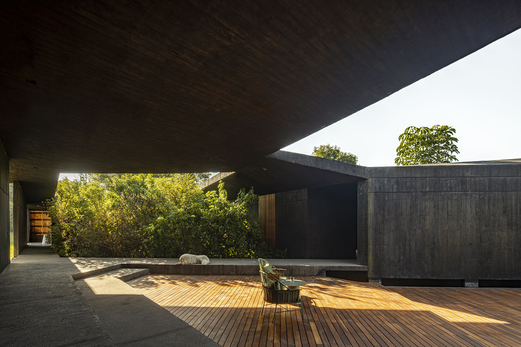 黑色住宅丨墨西哥丨TAC Taller Alberto Calleja-24