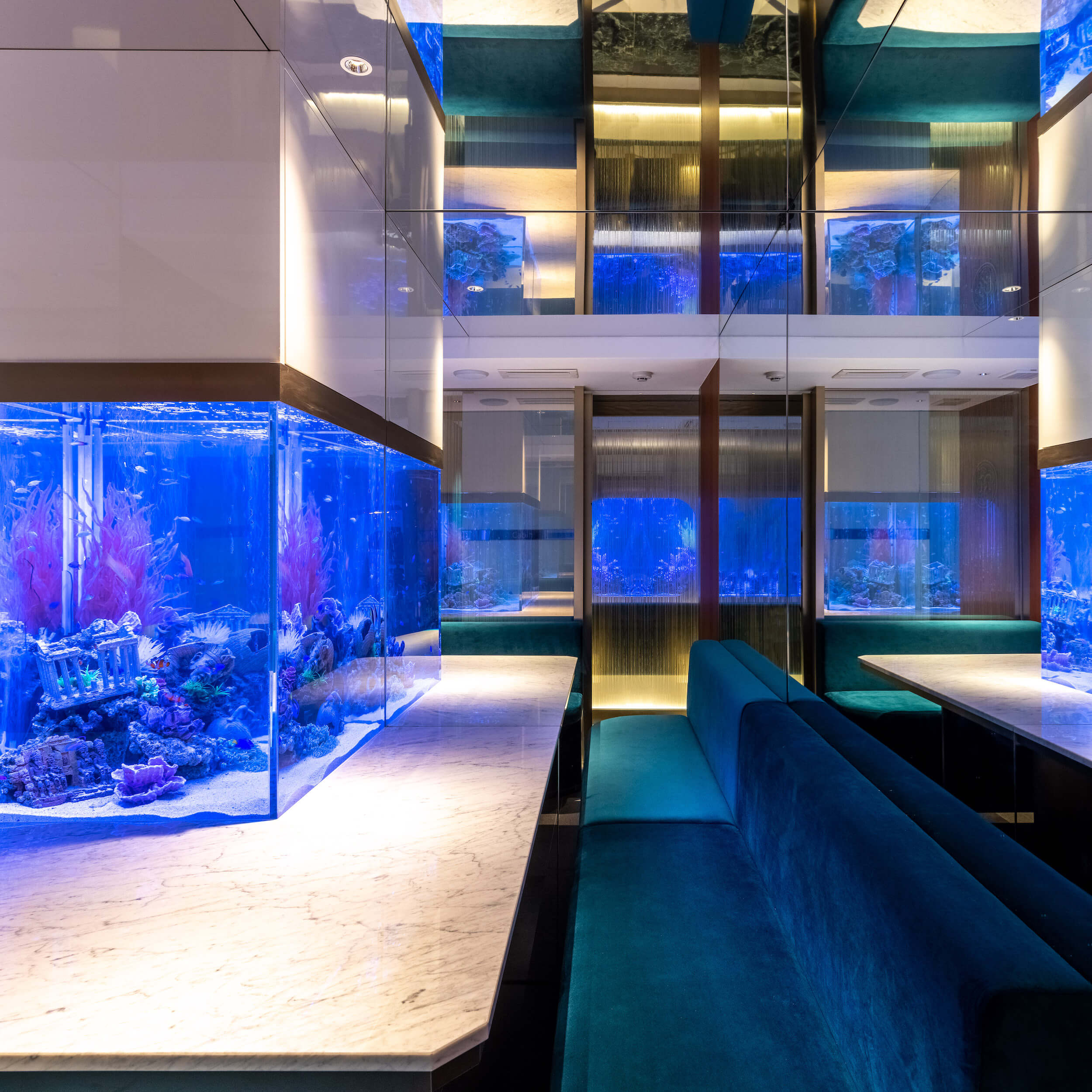 The Grand Blue Express-13