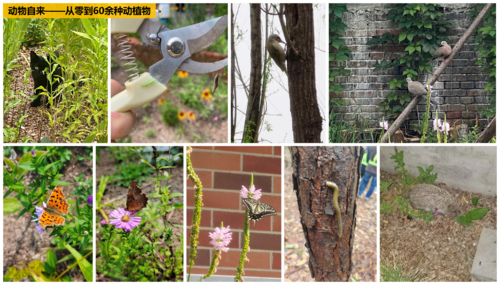 儿童友好空间优秀案例 | 休闲游憩类.04-59