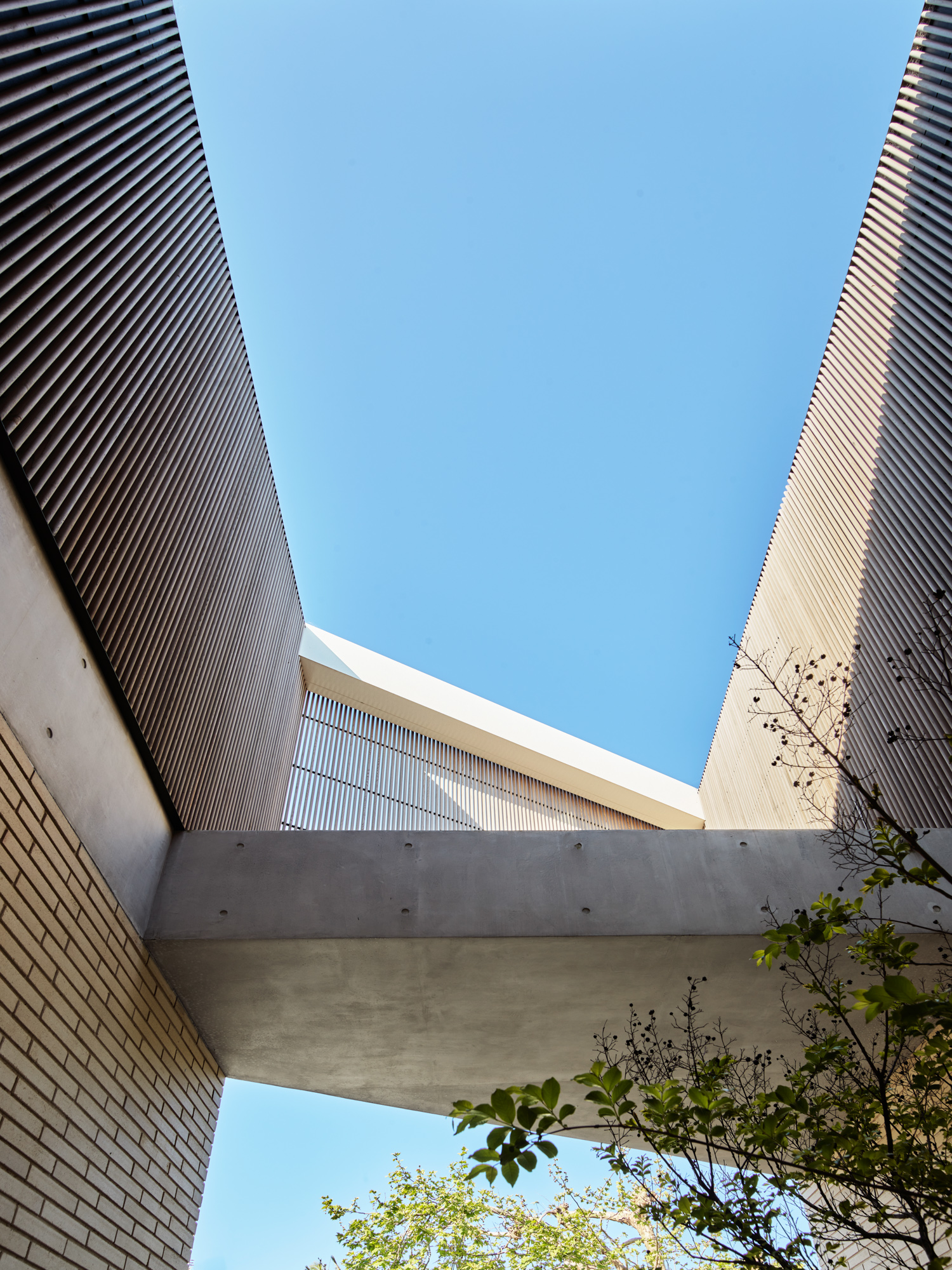 黑胡蜂之家丨澳大利亚丨Stafford Architecture-18