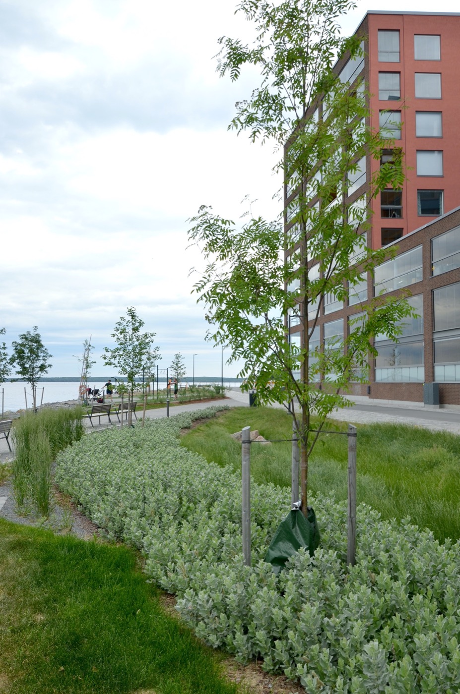 芬兰 Tampere Ranta·Tampella 公共户外空间-15