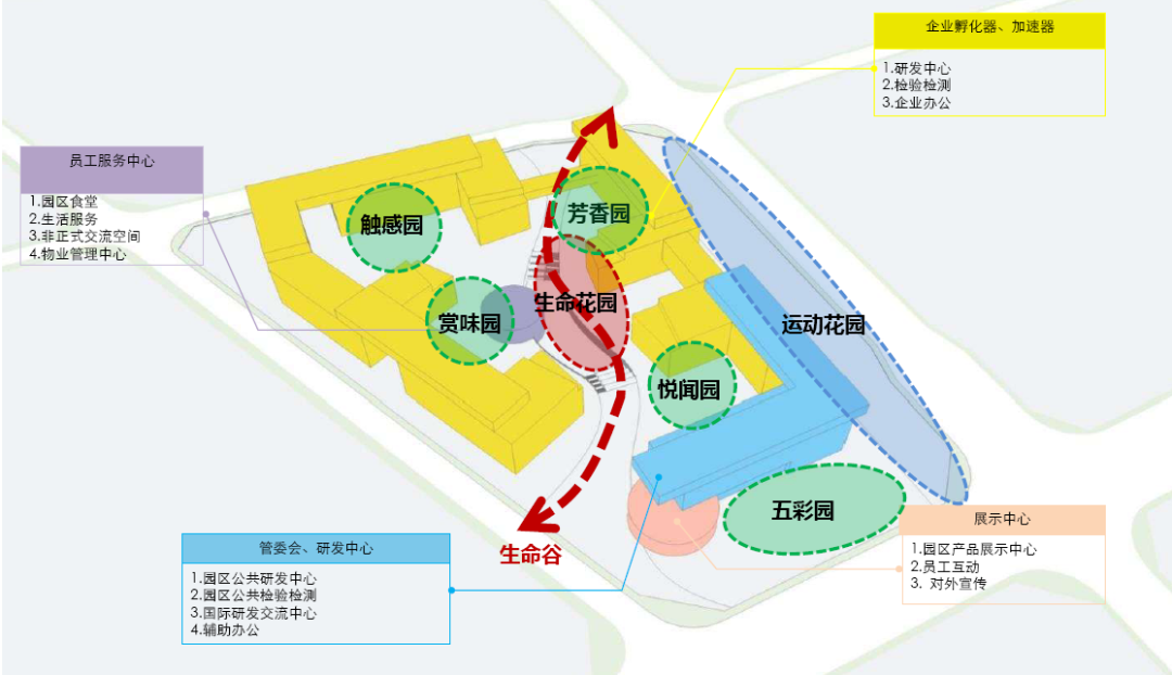 北京生物医药产业创新园丨中国大兴丨华通设计顾问工程有限公司-39