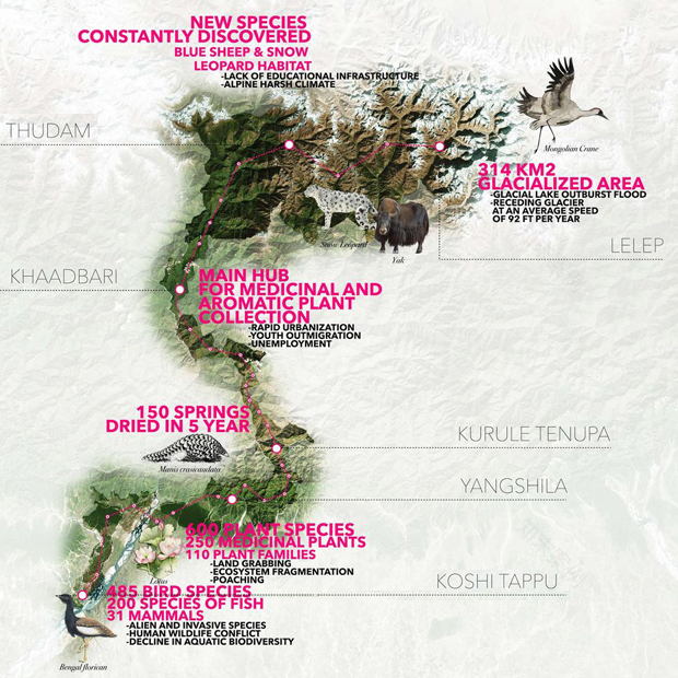 丨尼泊尔丨尼泊尔非营利组织KTK Belt Studio-3