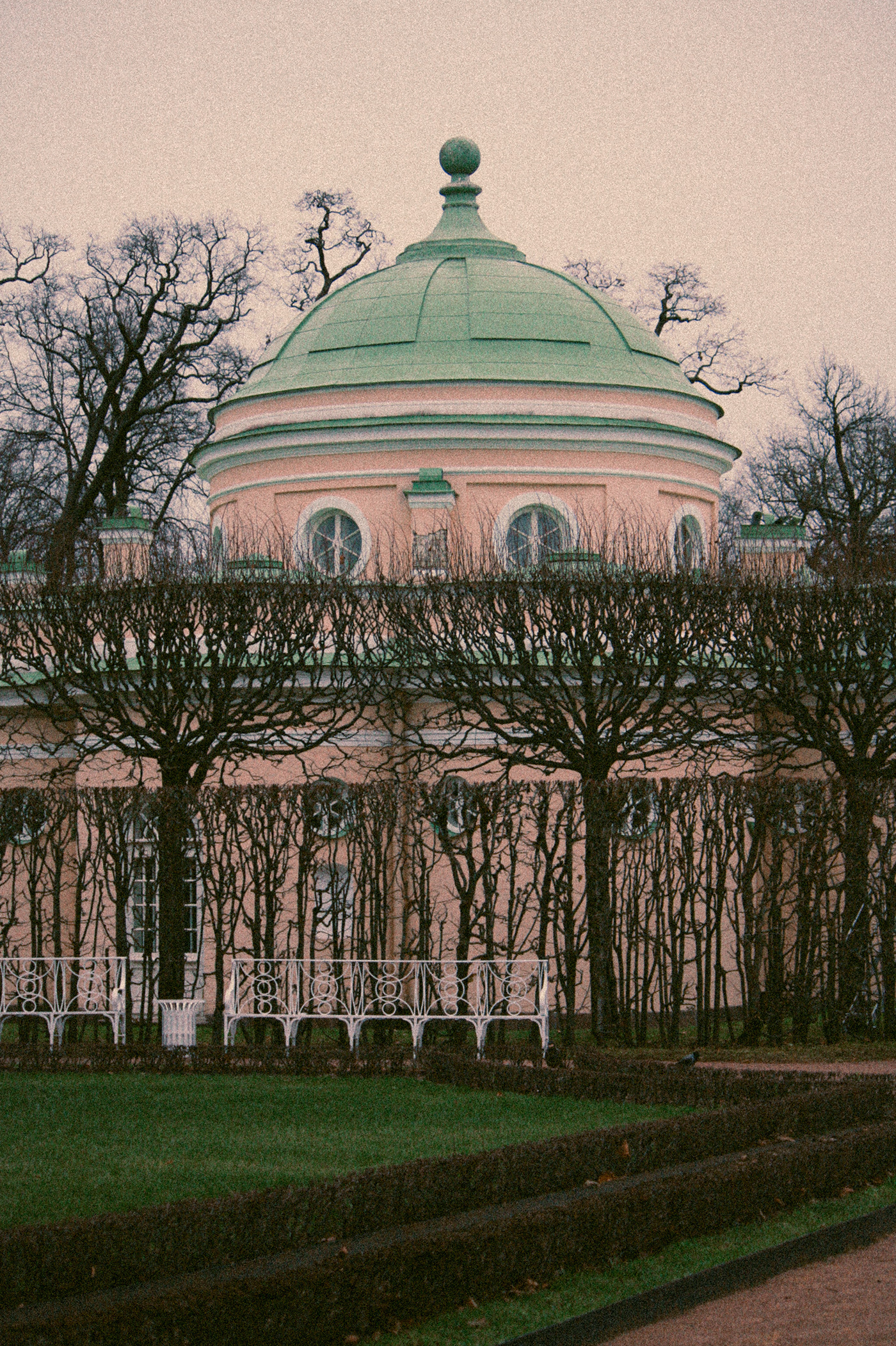 remnants of autumn in Pushkin-0