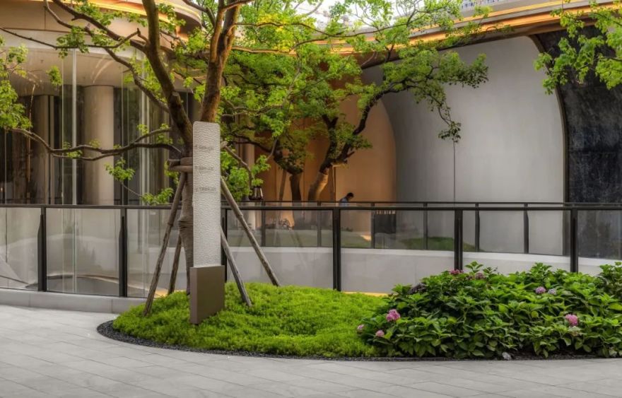 拉开高定人生序幕 | 仁和春天 · 银杏大道-93