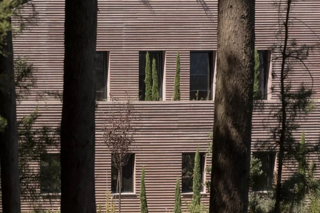 Euphoria Retreat丨一个治愈心灵,释放灵魂的地方  DecaArchitecture-46