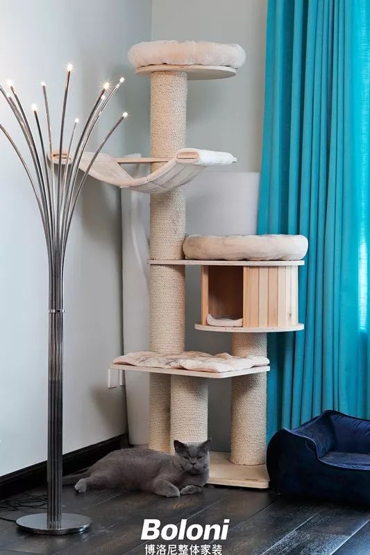 趣味浪漫的现代家居丨美国凤凰城丨张艳-25