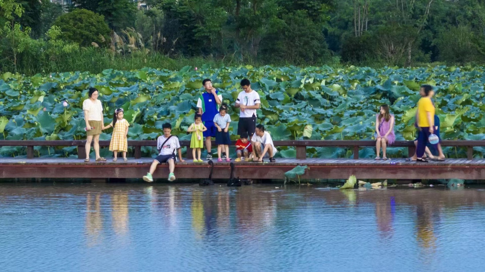 杭州富阳阳陂湖生态修复治理项目（一期）丨中国杭州丨中国电建集团华东勘测设计研究院有限公司,汉嘉设计集团股份有限公司-77
