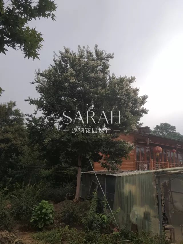 【花园荟】​带你见证0差评颜值酒店如何诞生-38