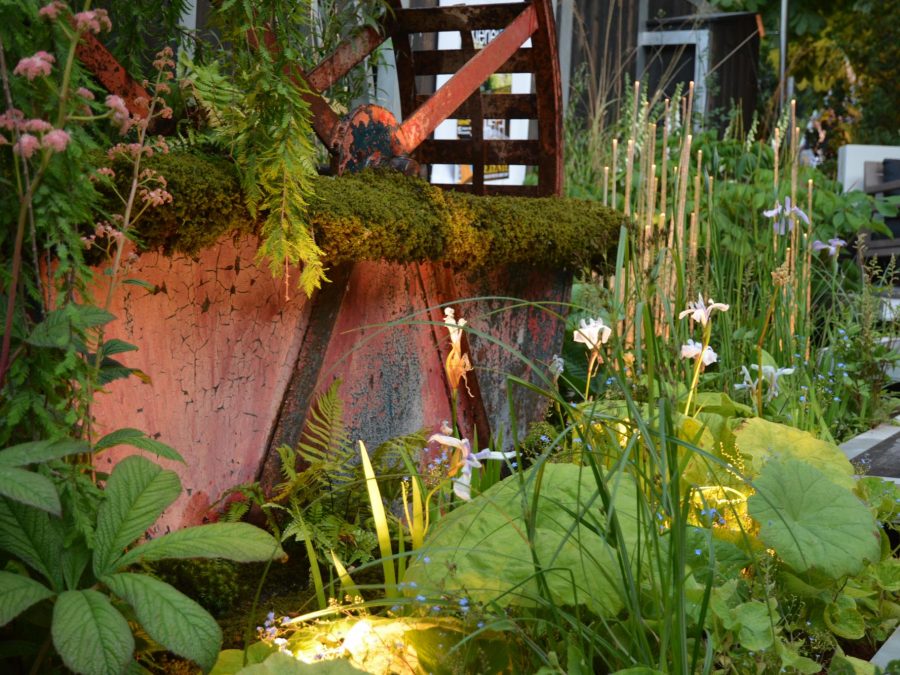 Eau de bonheur - Didier Danet - Entreprise Paysagiste-55