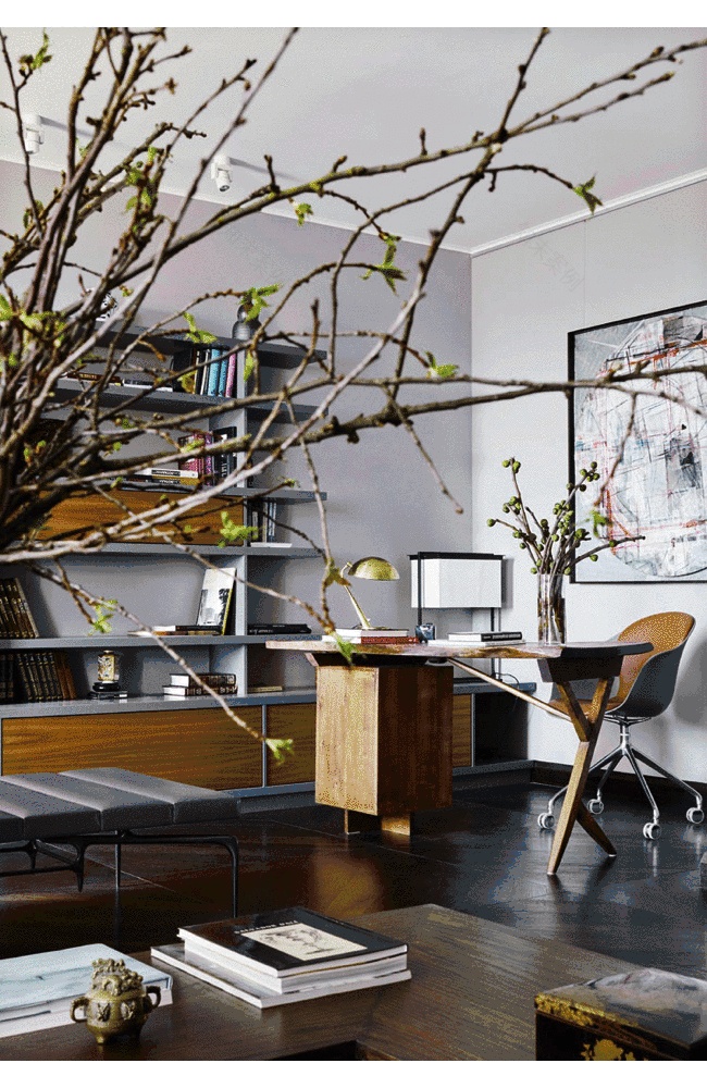 伦敦联排别墅丨英国伦敦丨Irakli Zaria-3