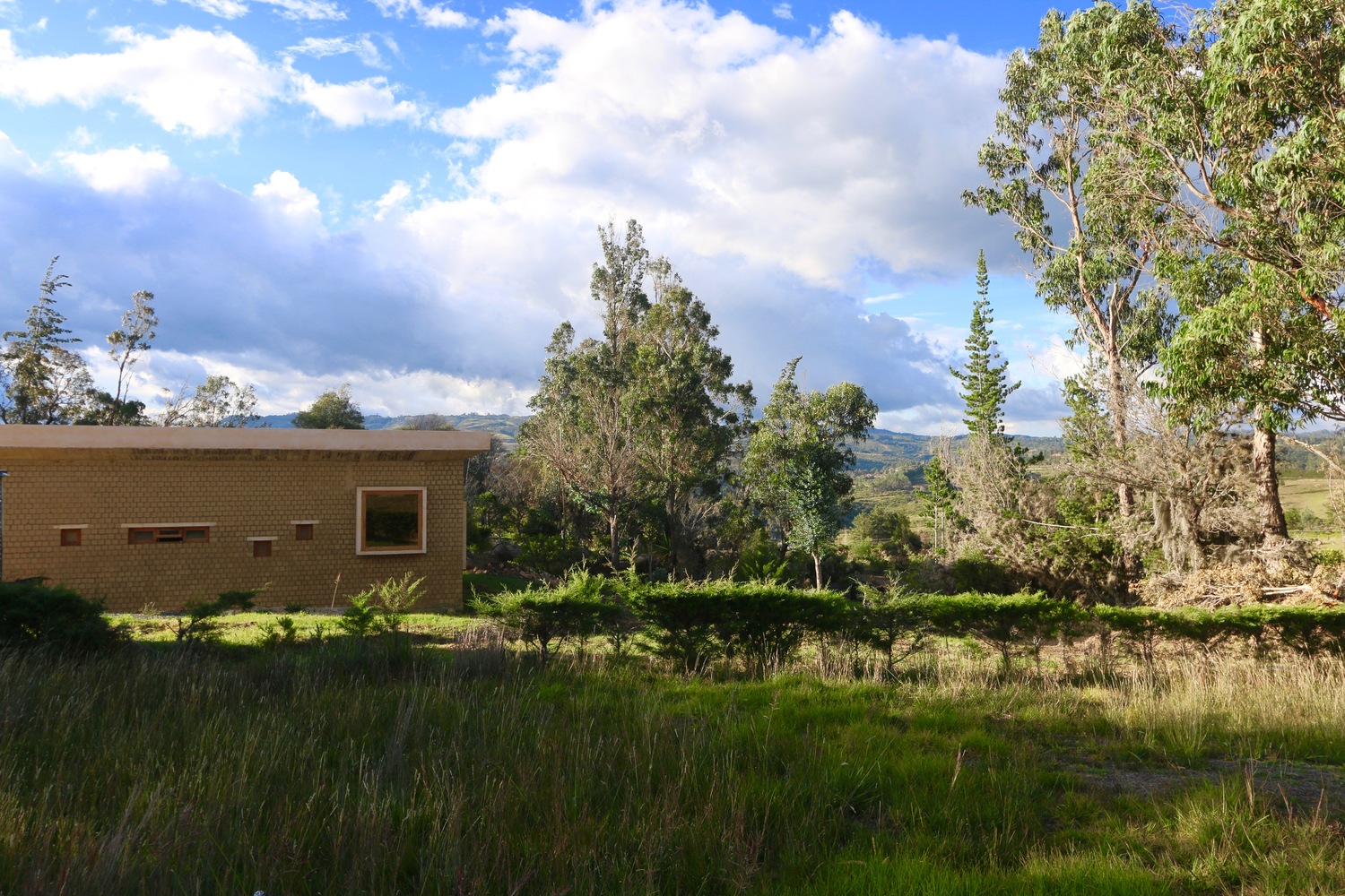 哥伦比亚“土壤住宅”丨Arango Arquitecto-17