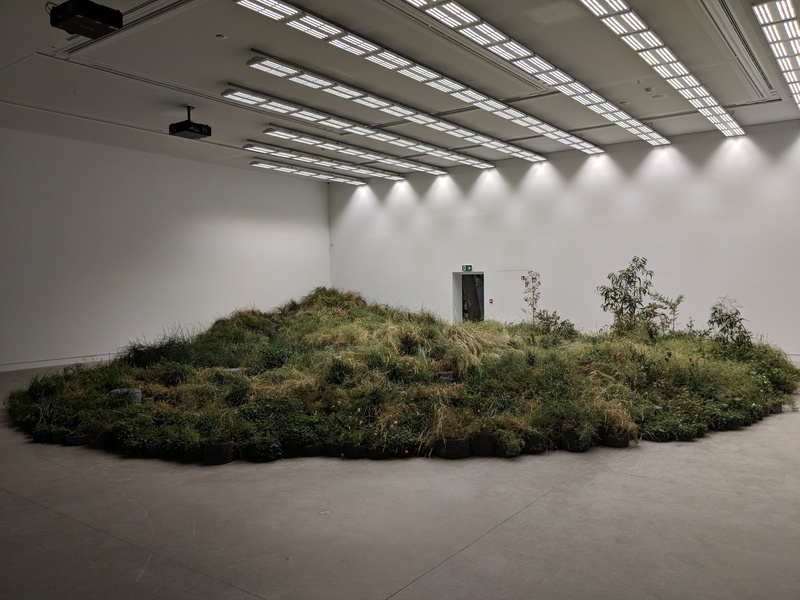 "Freespace" La Biennale di Venezia 16th International Architecture Exhibition -5