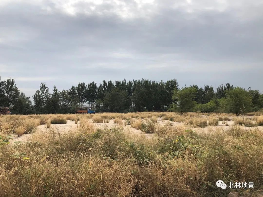 城市绿心 · 化工厂到生态绿核的修复设计丨中国北京丨北京北林地景园林规划设计院有限责任公司-10