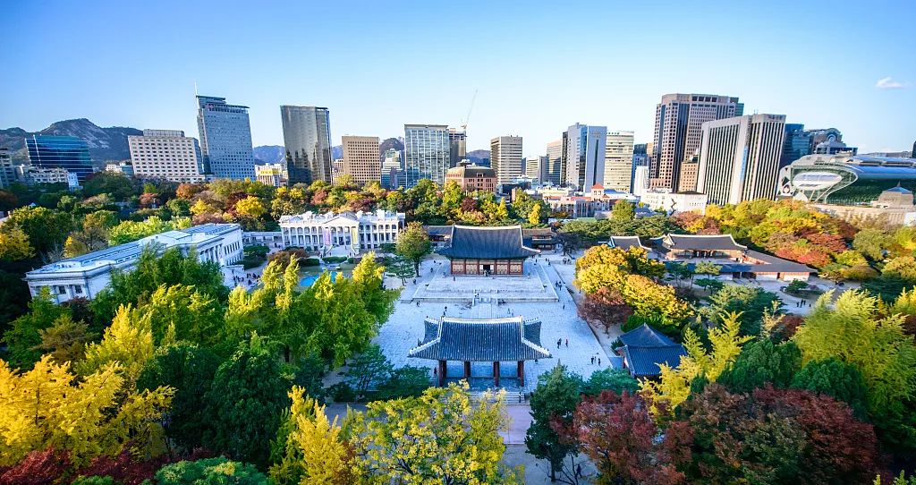 自然与时尚的平衡探索-11