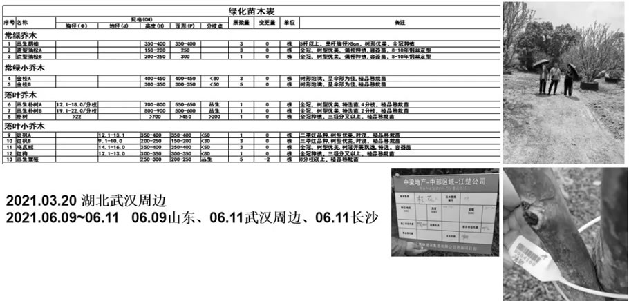 恩施中梁国宾府丨中国恩施丨上海集塔景观建筑设计有限公司-121