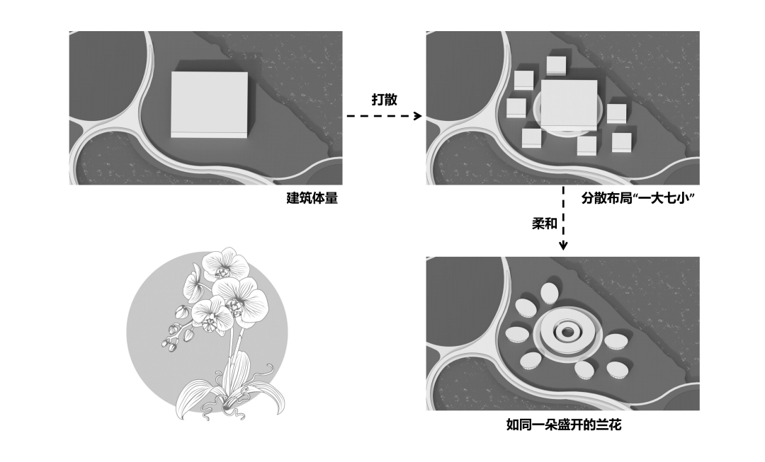 探秘龙游国际兰花博览园-43