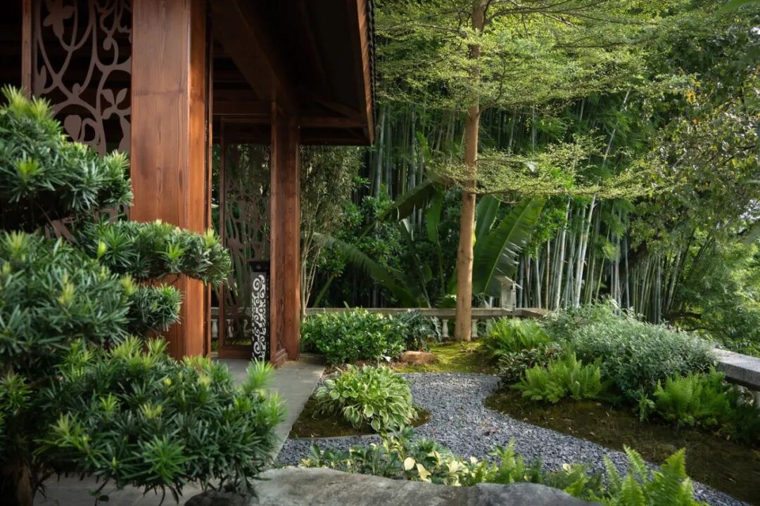 广东温泉宾馆松园一号户外园林景观改造工程丨中国广州-29