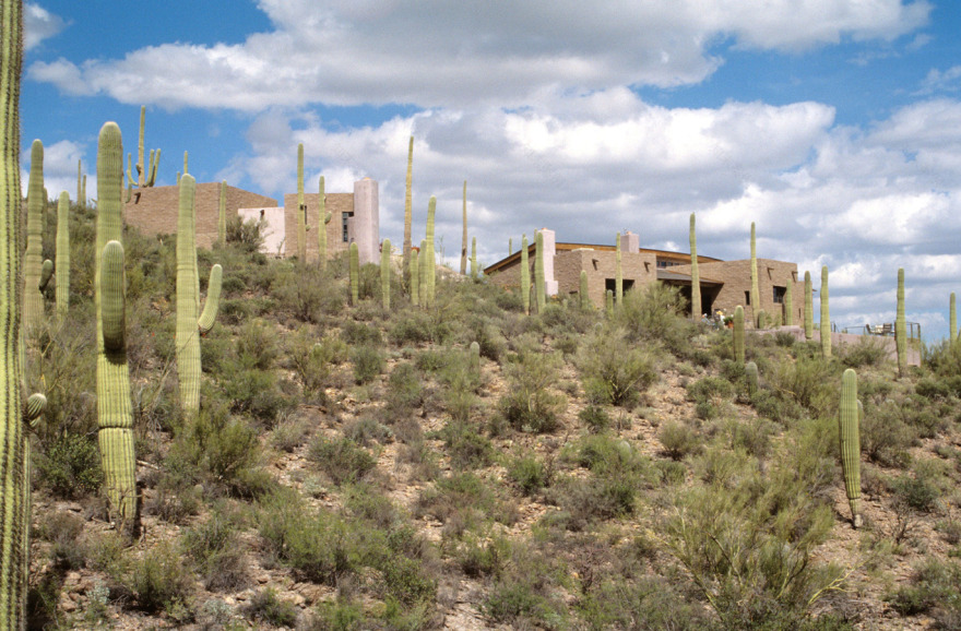 丨美国图森丨Rob Paulus Architects-0