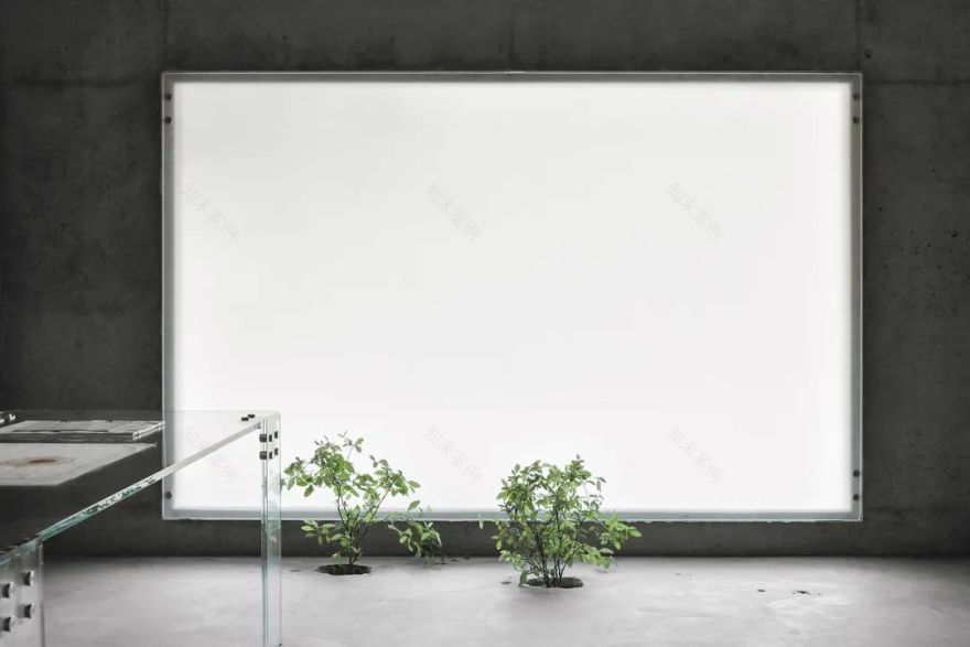 林省工作室丨中国厦门丨退化建筑-34