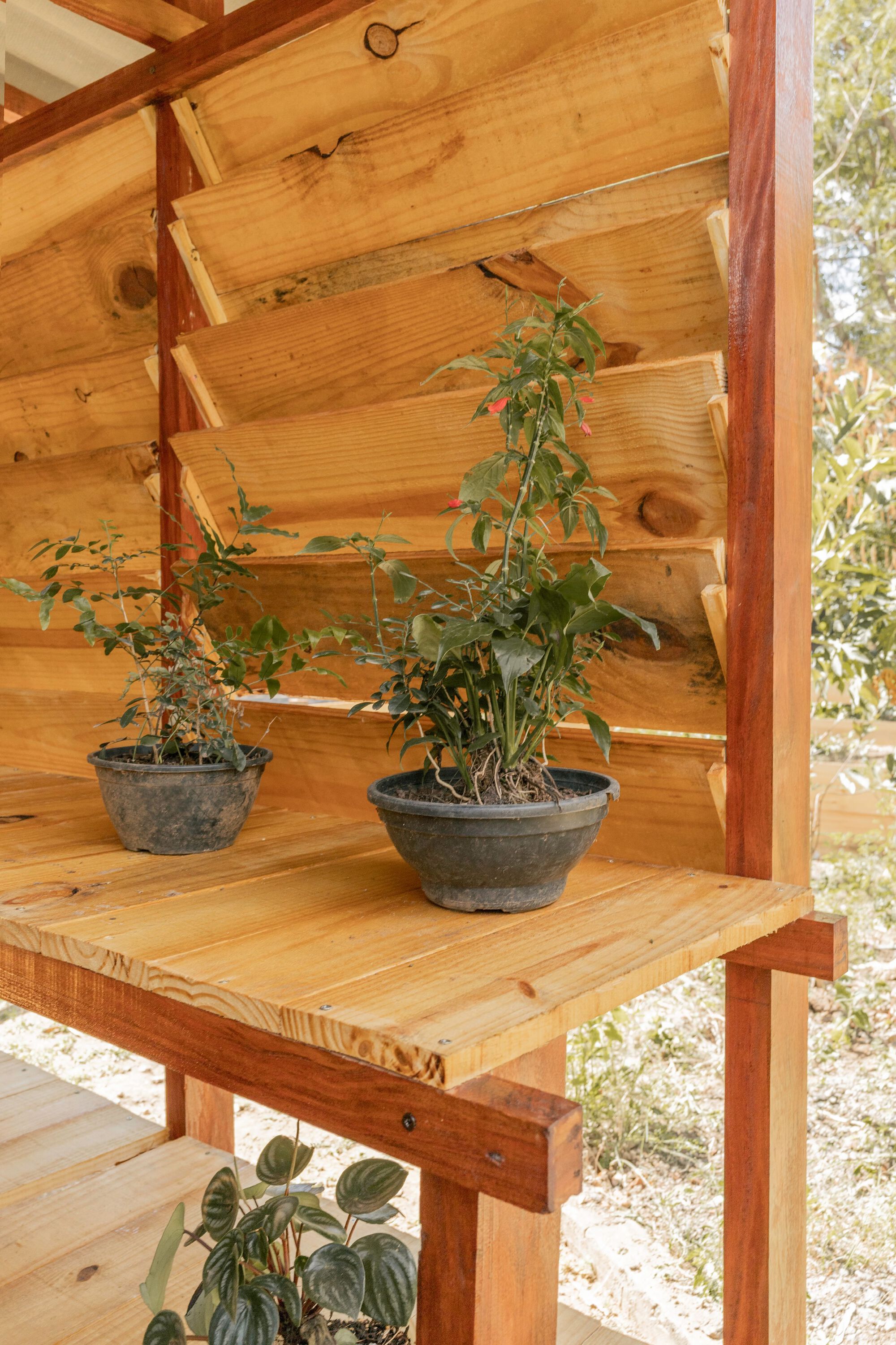 生态箱种子屋丨巴西丨PFLEX Escola de Arquitetura UFMG-23