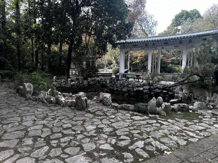 中国园林·理事专栏|“拓”之力量:杨浦公园改造纪实(三)-151